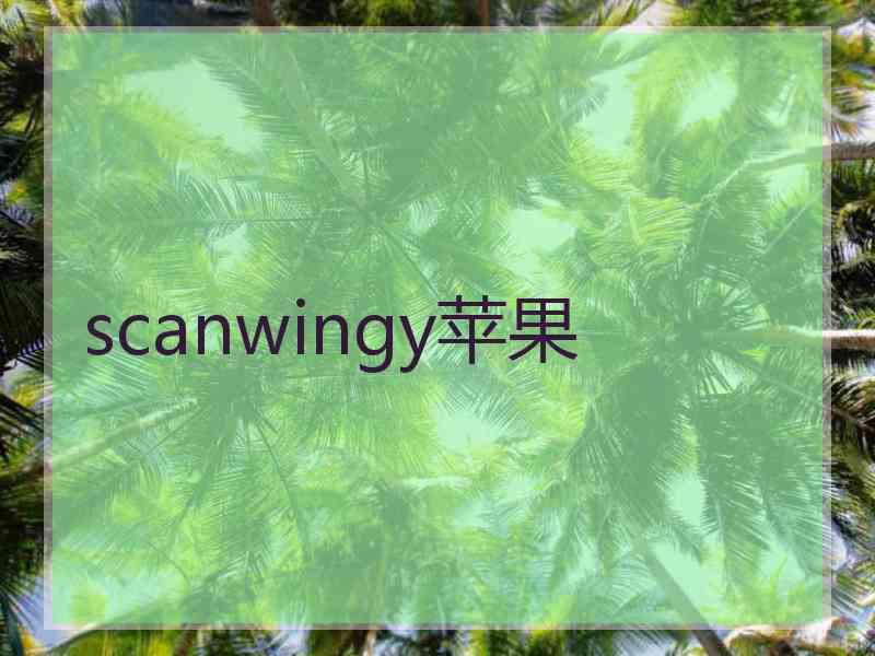 scanwingy苹果