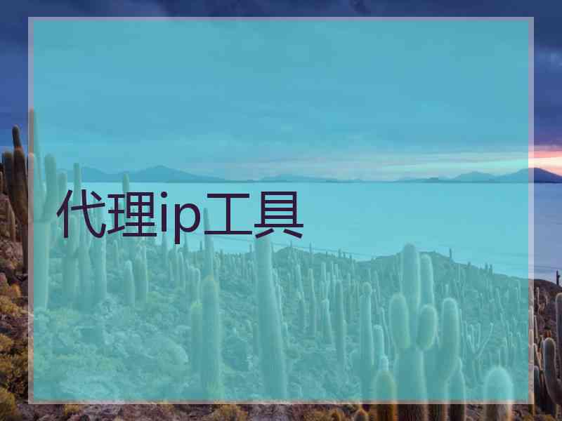 代理ip工具