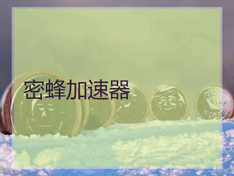 密蜂加速器