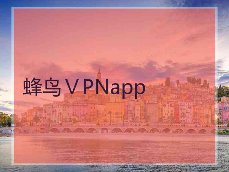蜂鸟ⅤPNapp