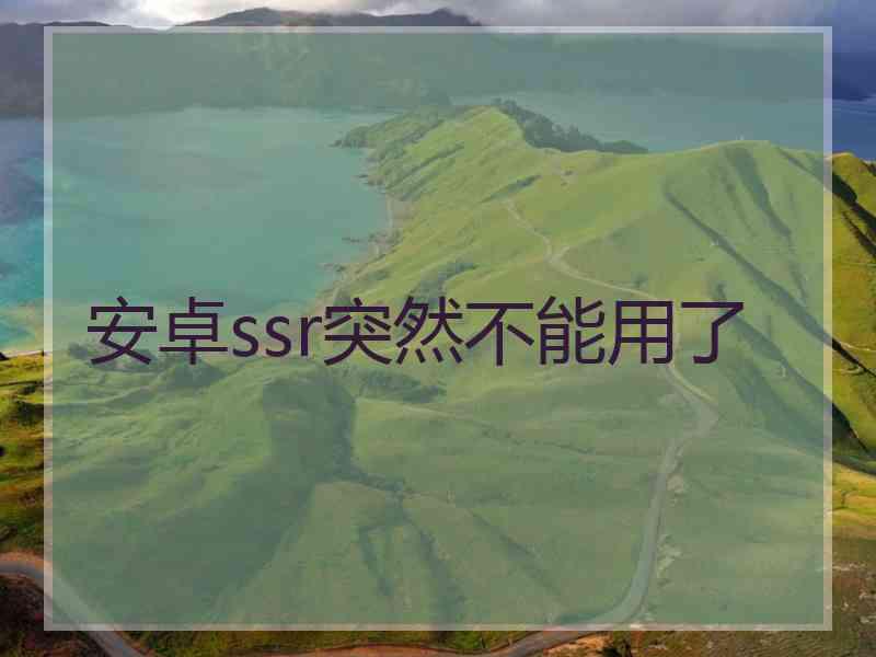 安卓ssr突然不能用了