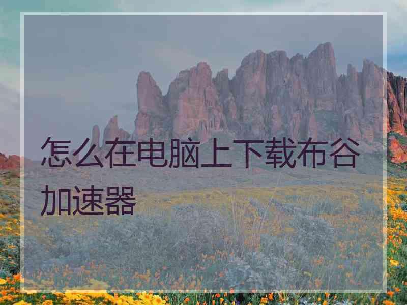怎么在电脑上下载布谷加速器