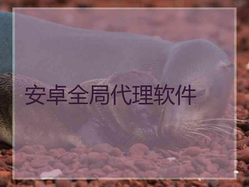 安卓全局代理软件
