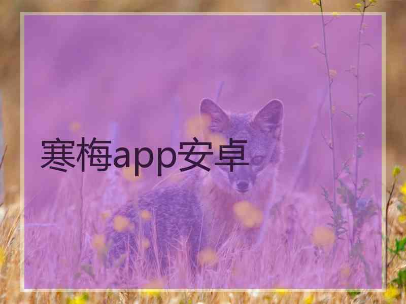 寒梅app安卓