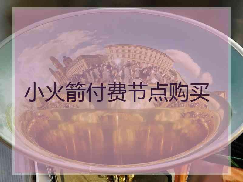 小火箭付费节点购买