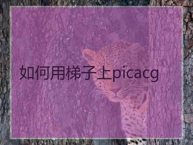 如何用梯子上picacg