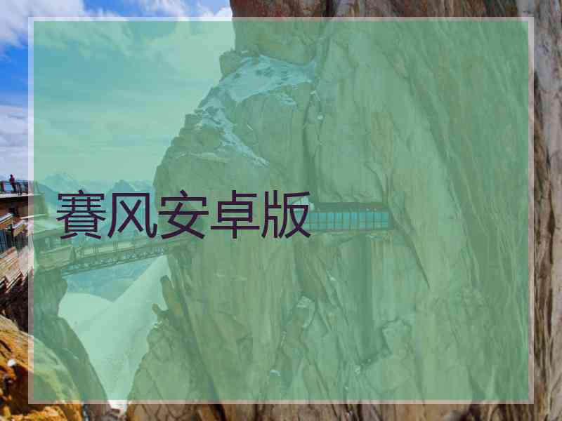 賽风安卓版