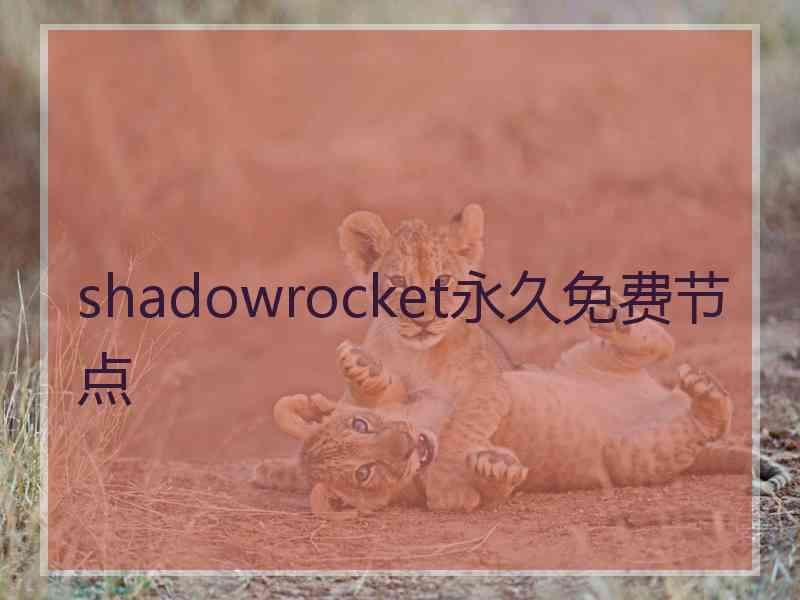 shadowrocket永久免费节点