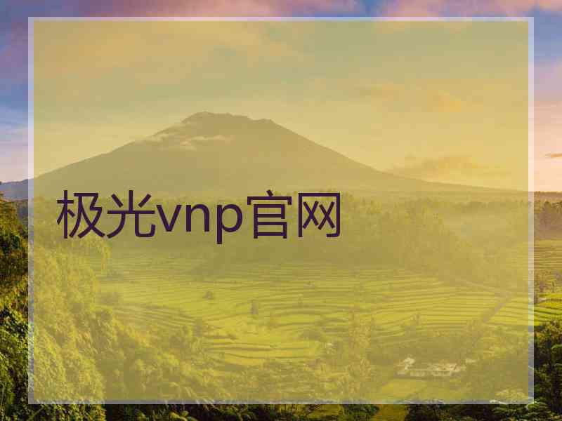 极光vnp官网