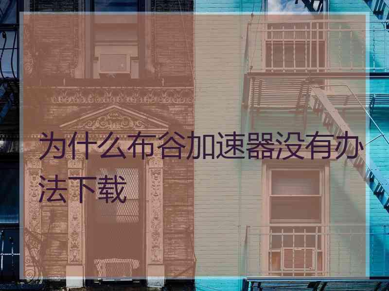 为什么布谷加速器没有办法下载