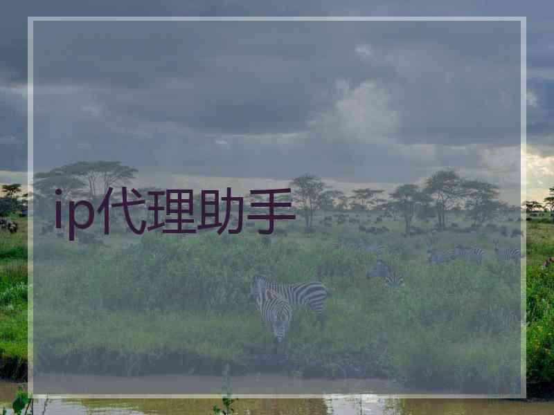 ip代理助手