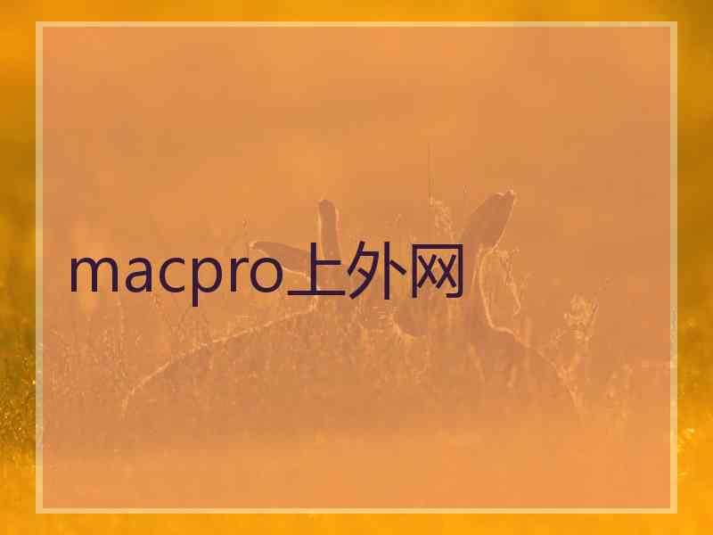 macpro上外网