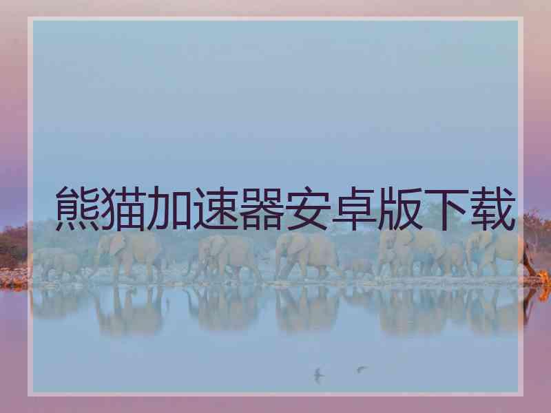 熊猫加速器安卓版下载