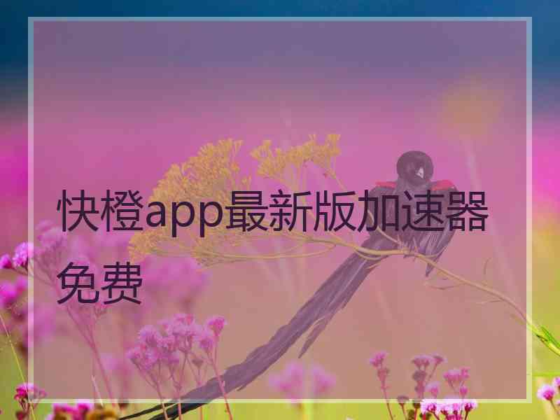 快橙app最新版加速器免费