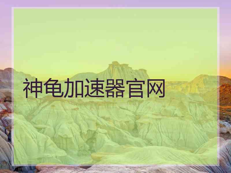 神龟加速器官网