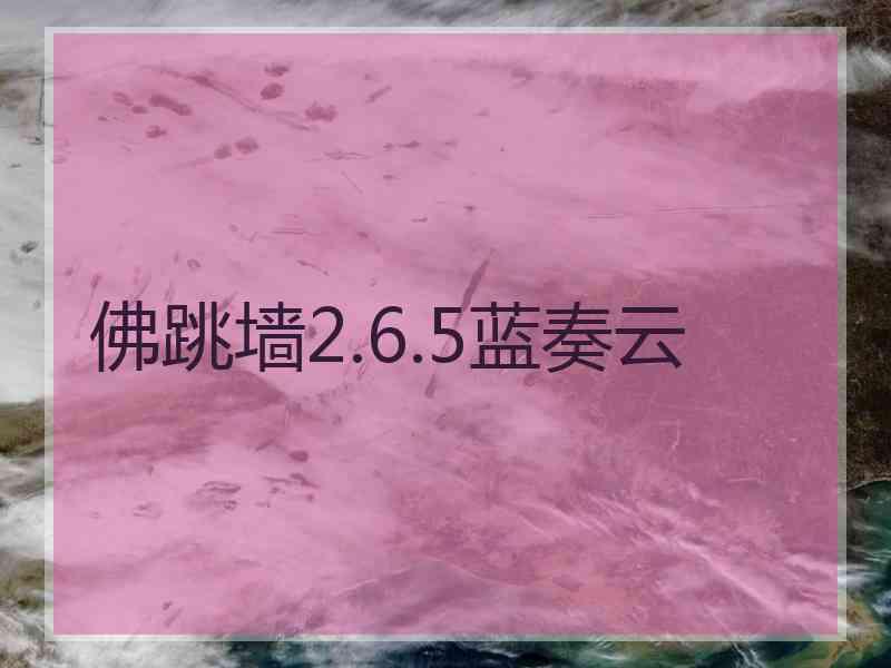 佛跳墙2.6.5蓝奏云