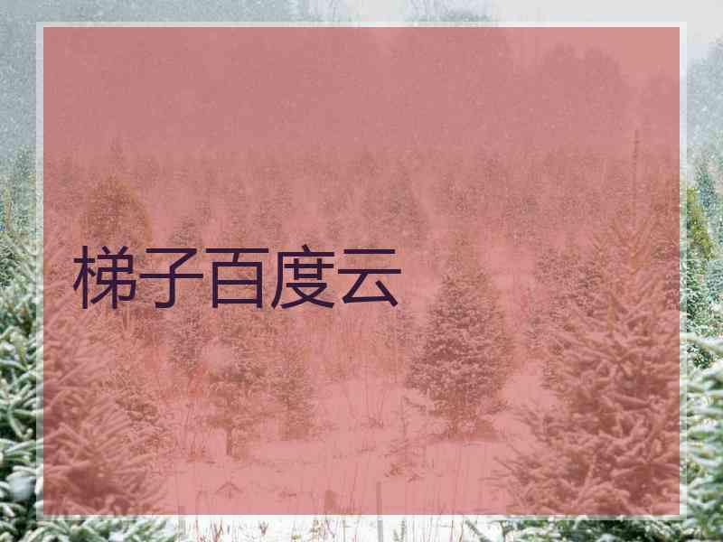 梯子百度云