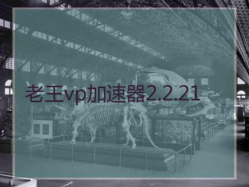 老王vp加速器2.2.21