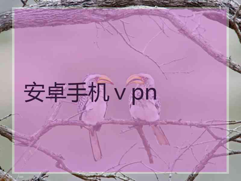 安卓手机ⅴpn