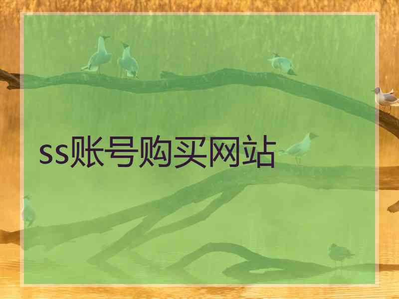 ss账号购买网站