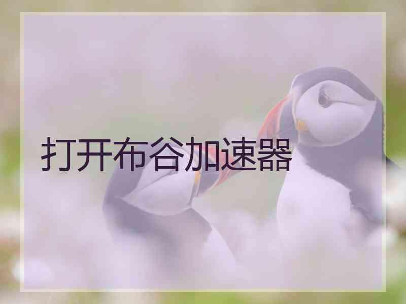 打开布谷加速器
