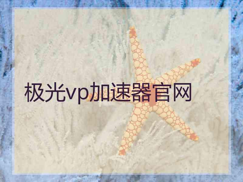 极光vp加速器官网