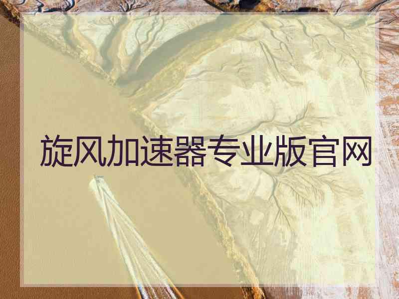 旋风加速器专业版官网