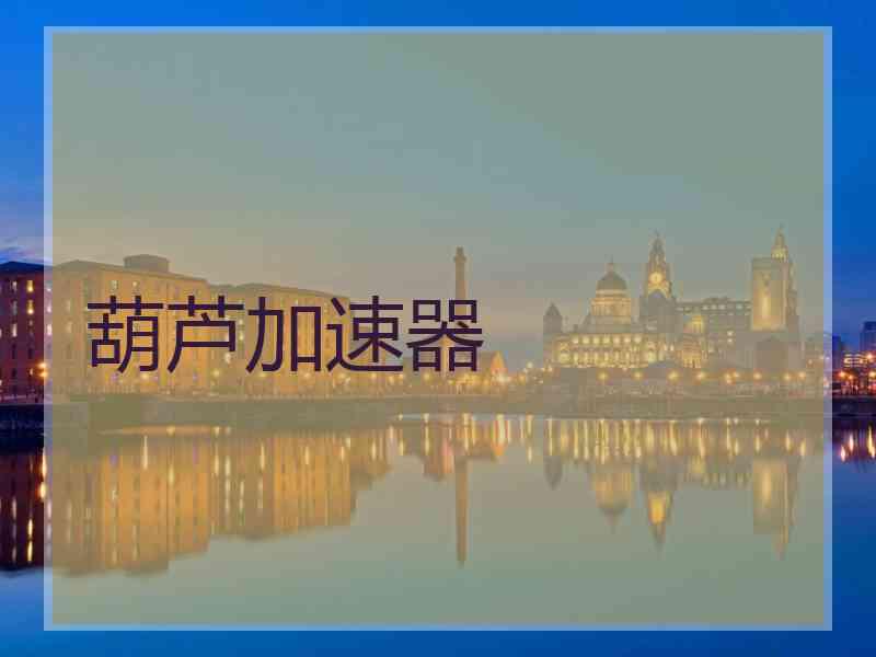 葫芦加速器
