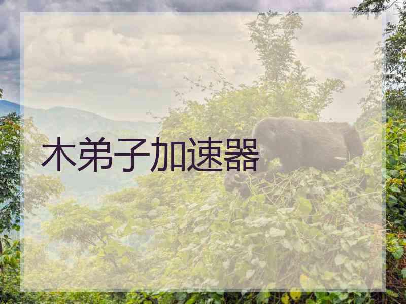 木弟子加速器
