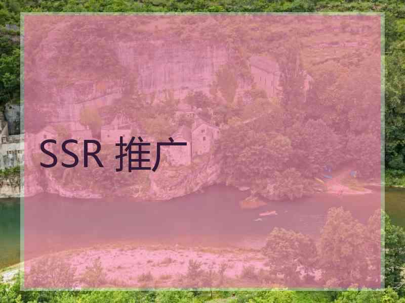 SSR 推广