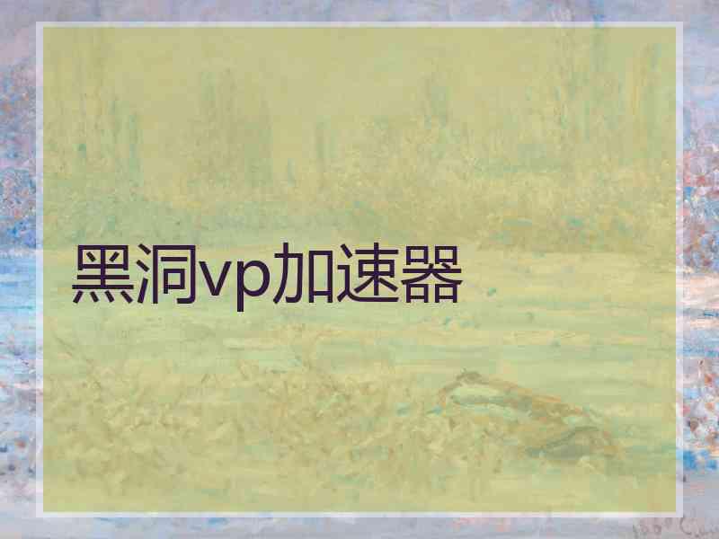 黑洞vp加速器