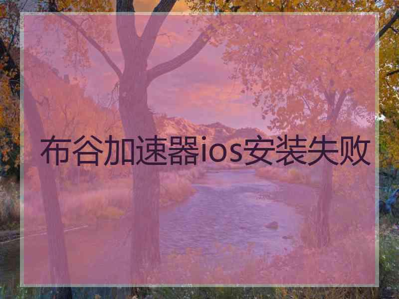 布谷加速器ios安装失败