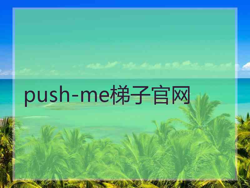push-me梯子官网