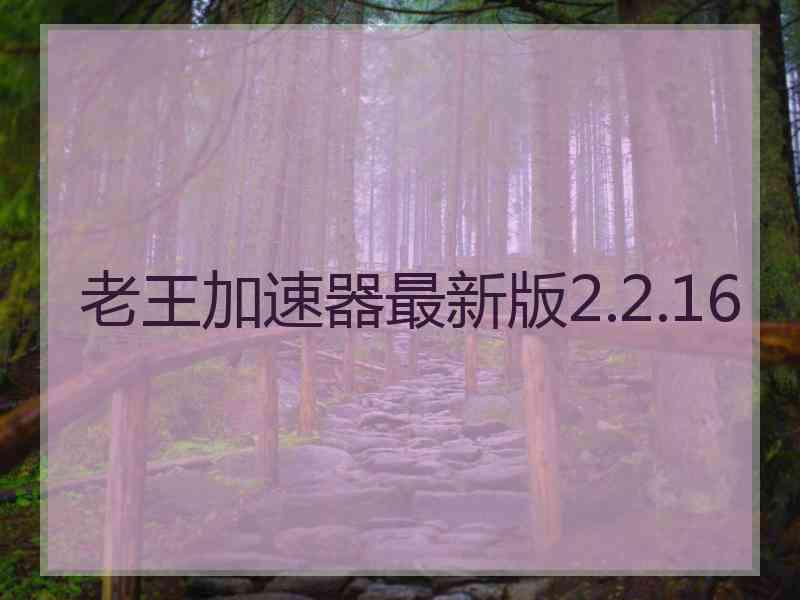 老王加速器最新版2.2.16