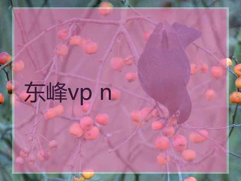 东峰vp n