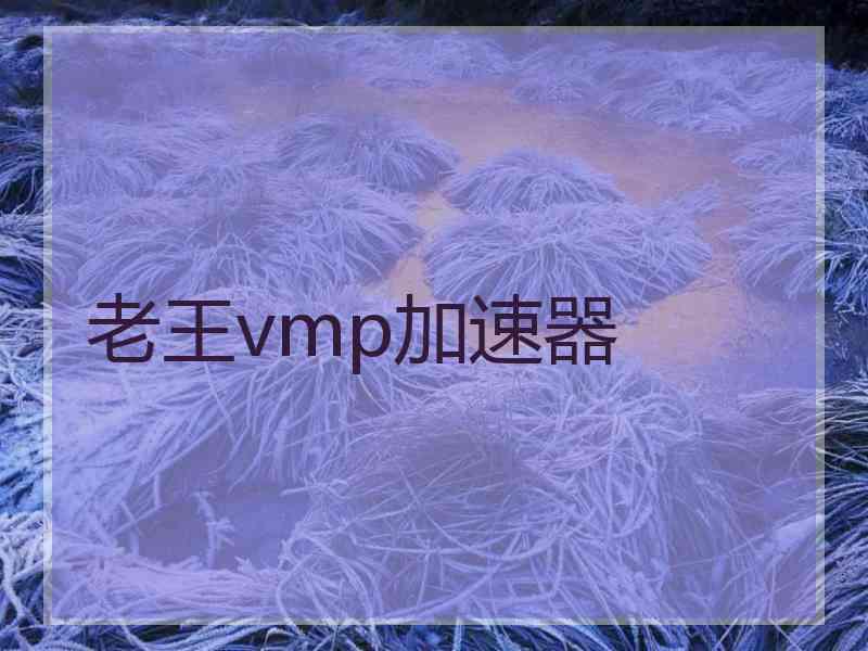 老王vmp加速器