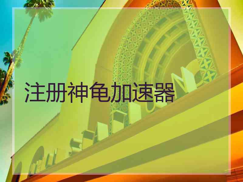 注册神龟加速器
