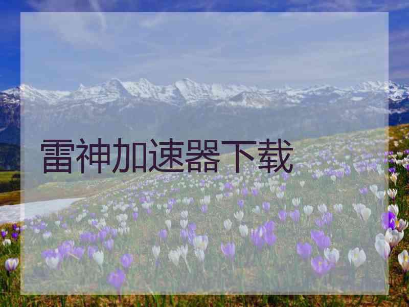 雷神加速器下载