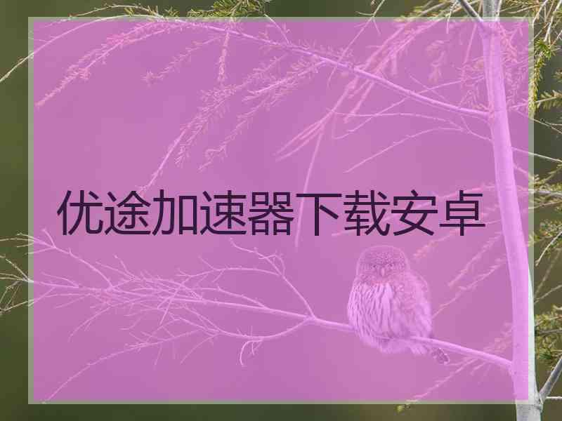 优途加速器下载安卓