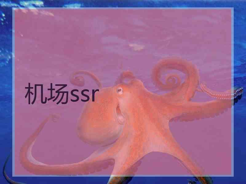 机场ssr