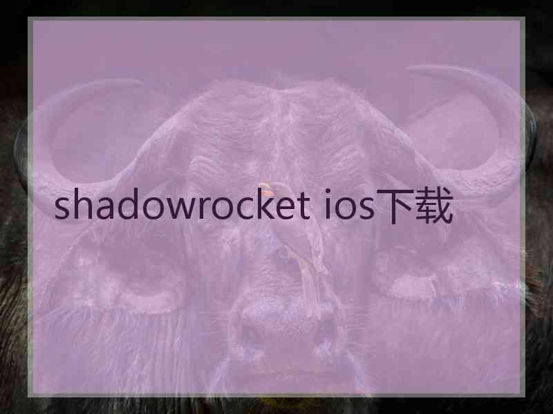shadowrocket ios下载