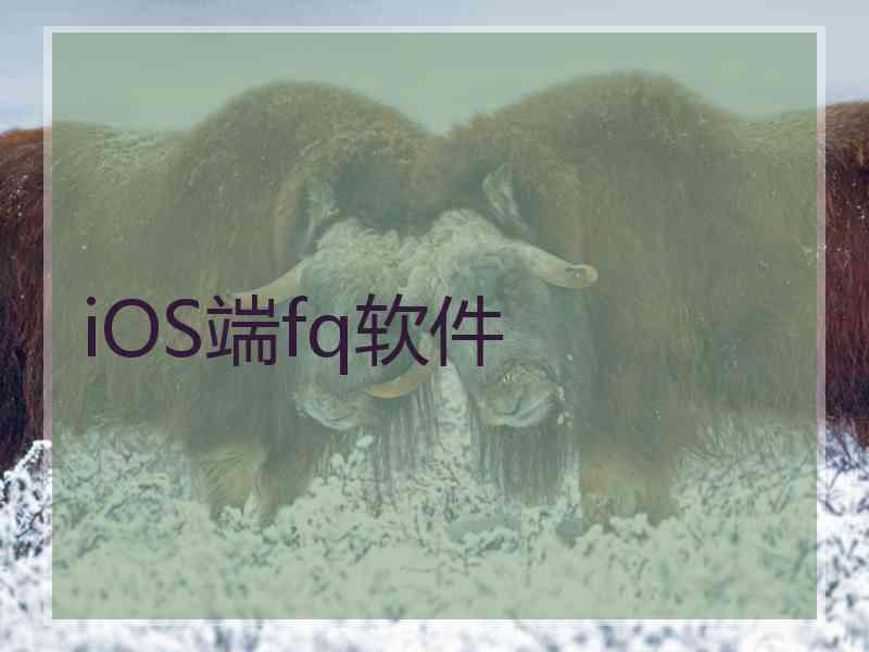 iOS端fq软件