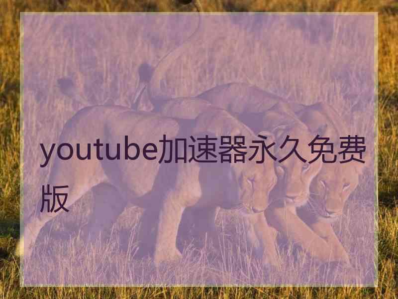 youtube加速器永久免费版