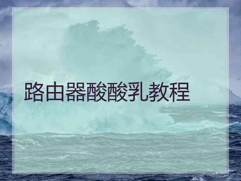 路由器酸酸乳教程