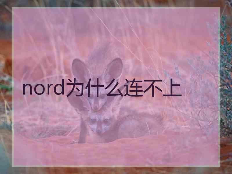 nord为什么连不上
