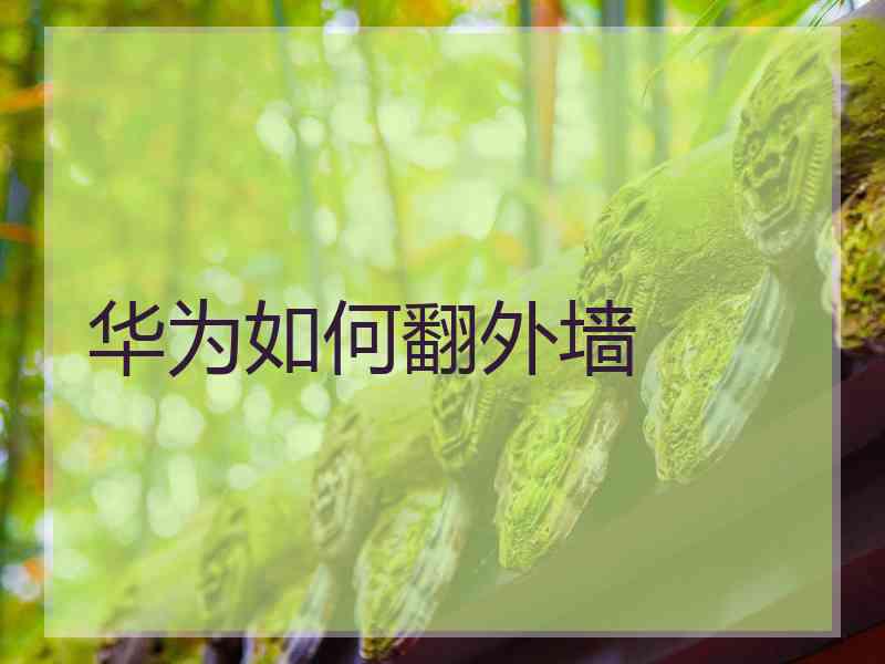 华为如何翻外墙