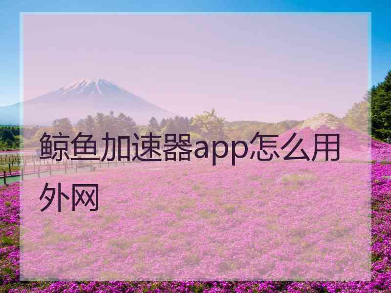 鲸鱼加速器app怎么用外网