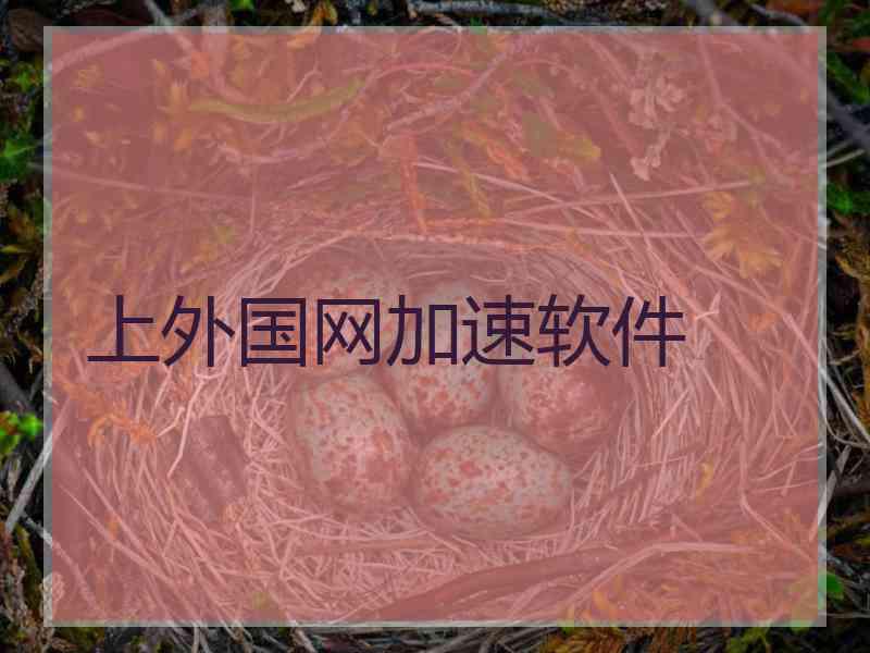 上外国网加速软件