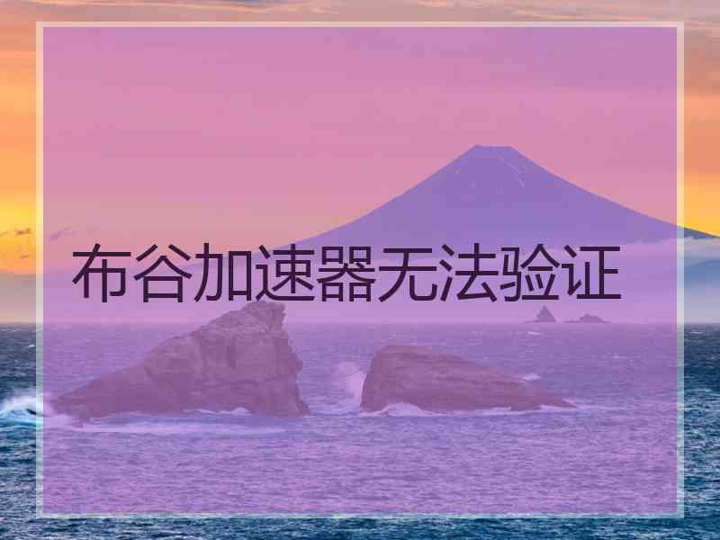 布谷加速器无法验证