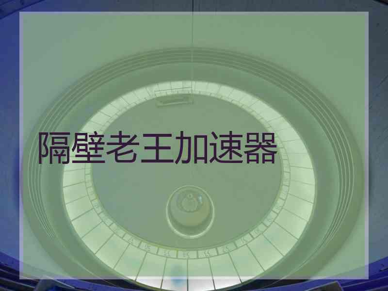 隔壁老王加速器